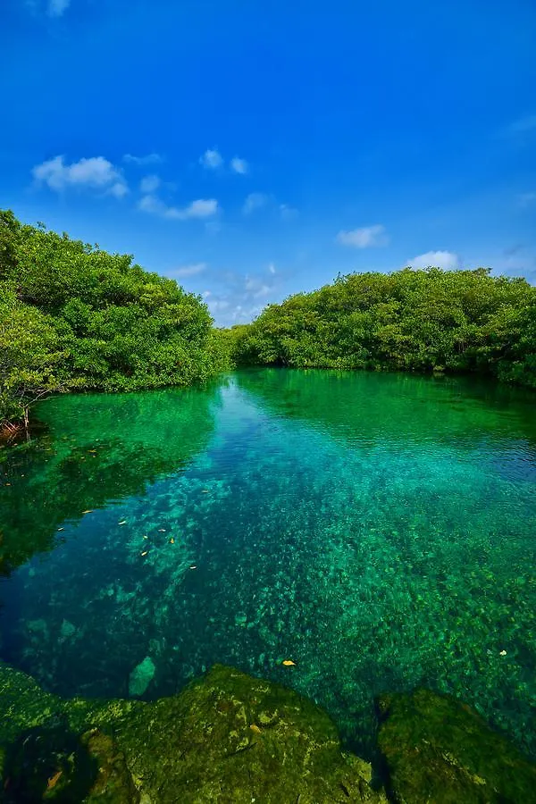 Casa Cenote Bed & Breakfast Tulum